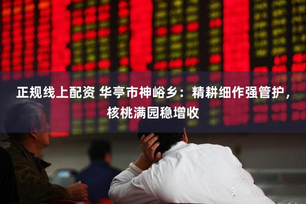 正规线上配资 华亭市神峪乡：精耕细作强管护，核桃满园稳增收